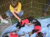 Adoption & Rescue