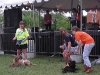 ASPCA Wag 'n Walk