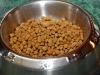 Dog Food & Treats
