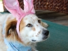 Easter