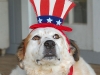 Fourth of July