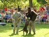 Military and Police Dogs