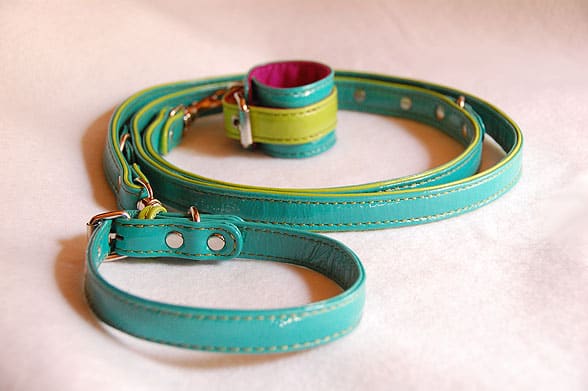 Leash And Collar. Leash and Collar System