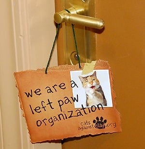blog-catsagainstclay
