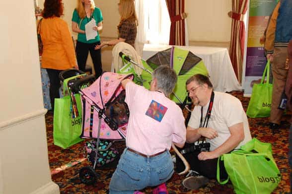 blogpaws-cats2