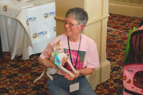 blogpaws-cats3