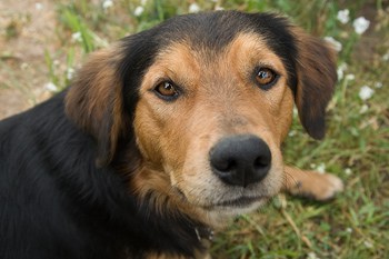 81746948.thb