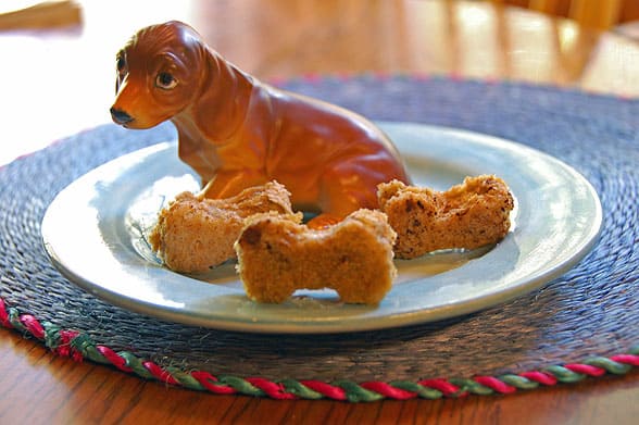 Dog snack recipes rss feed