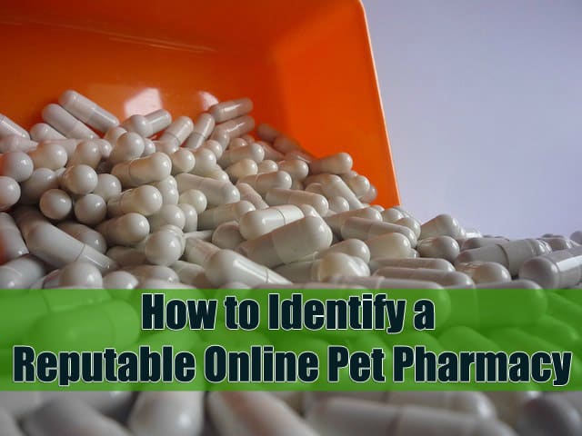 Reputable Online Pharmacy Avodart