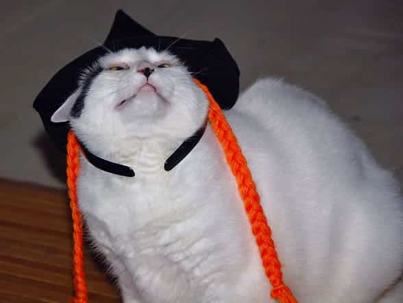 coco-halloween