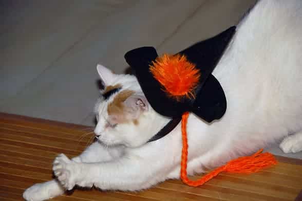 coco-halloween2