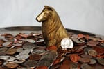 dog-coins-tiny