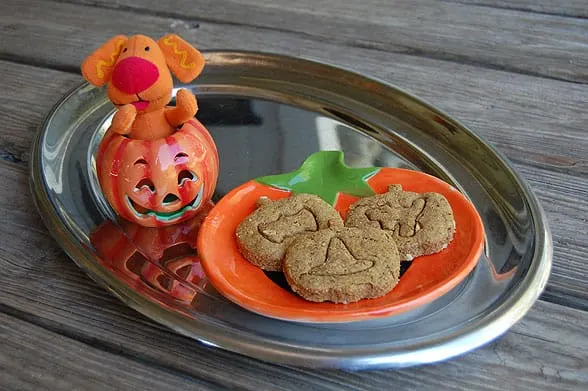 pumpkin dog treat recipe