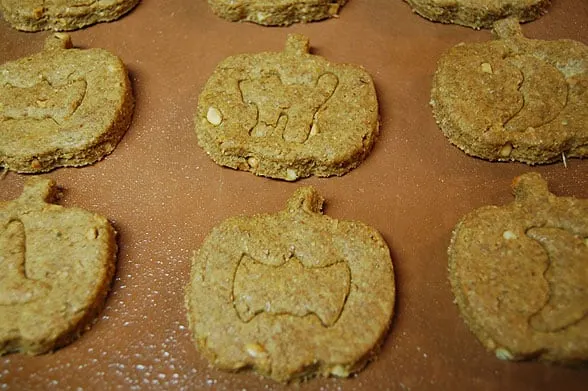 pumpkin and peanut butter treats for dogs