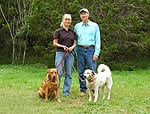 us-dogs-tiny