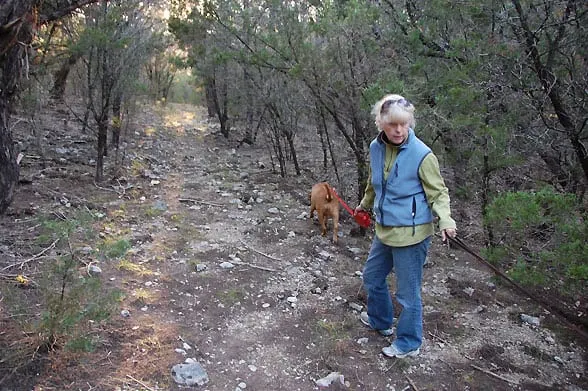 walking two dogs on hiking trail with flexi leash