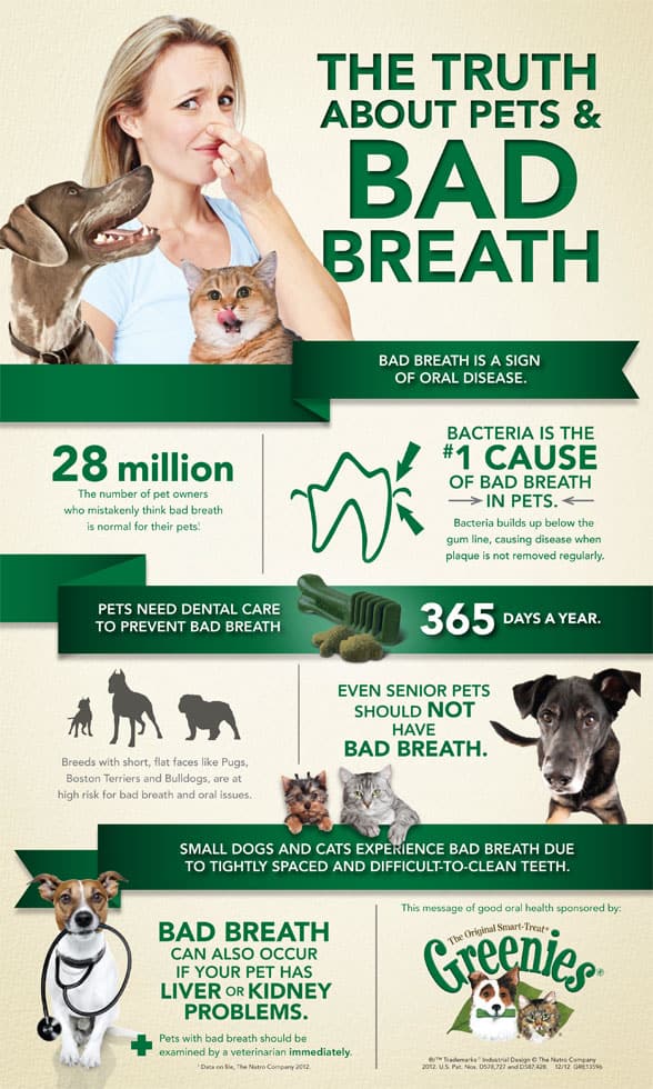 Dog breath treatment