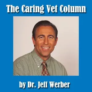 Dr. Jeff Werber