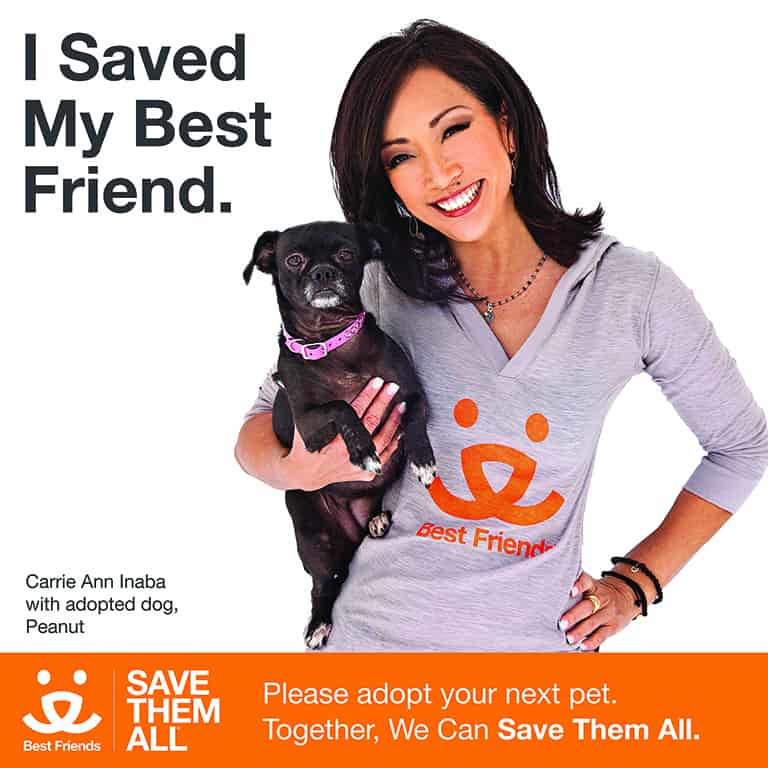Carrie Ann Inaba Promotes Save Them All Campaign (2023)