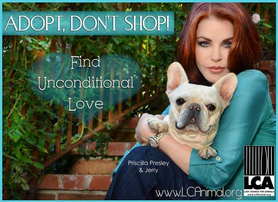 Priscilla Presley Promotes Adopt, Don't Shop Campaign (2023)