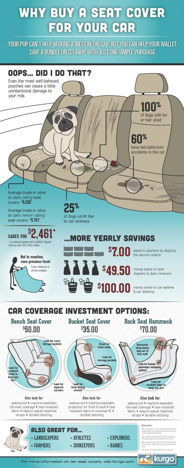 kurgo-car-seat-infographic