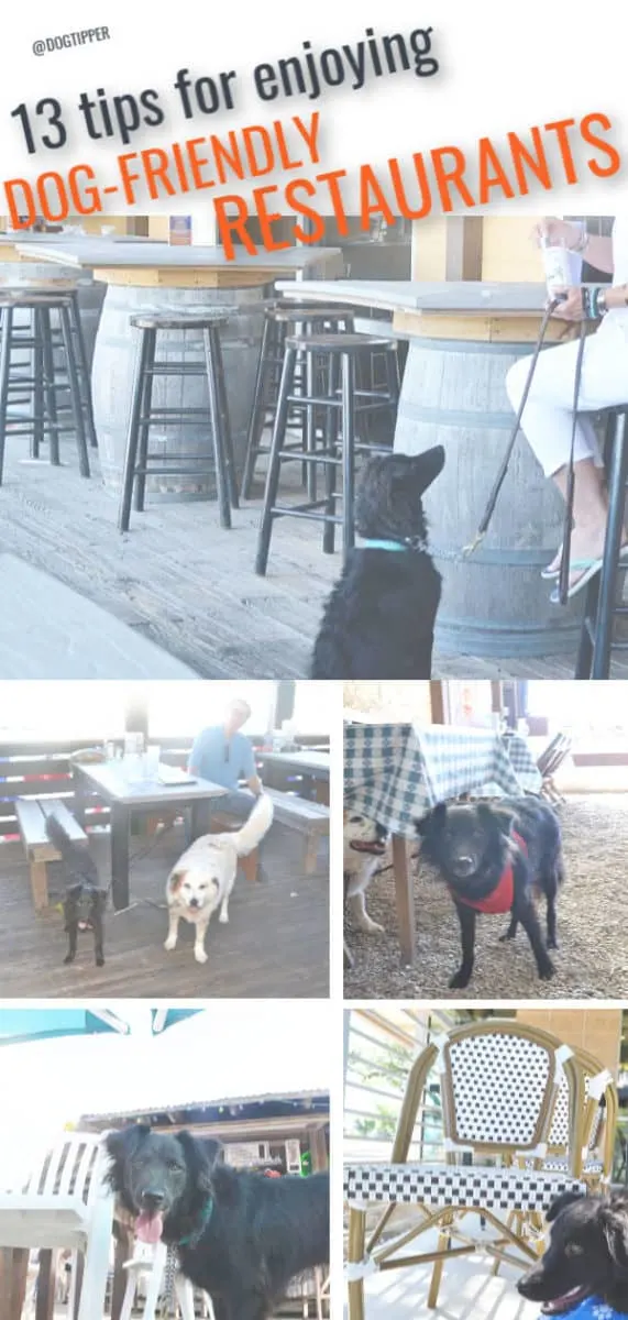 dog-friendly restaurants