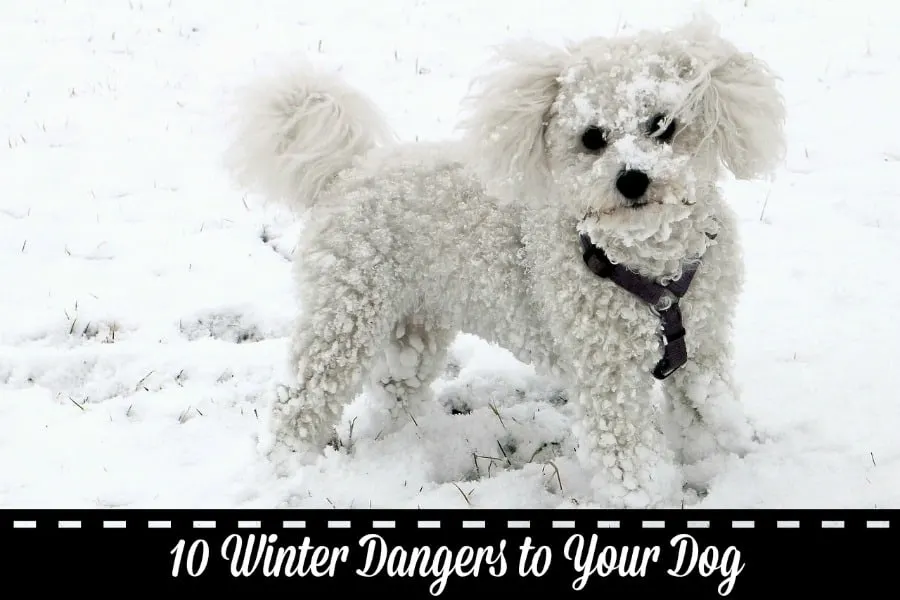 winter-dangers