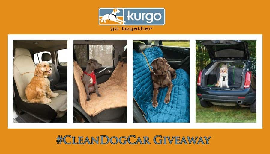 kurgo-cleandogcar