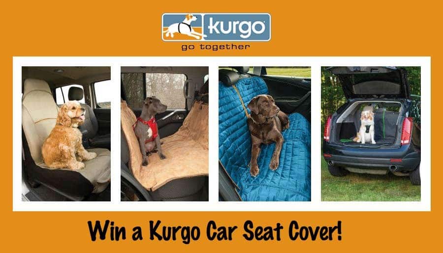 kurgo-car-seat-cover