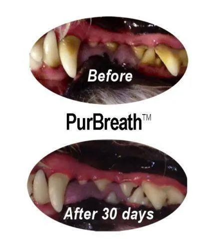 oral-hygiene-purbreath-no-brush-oral-care-2