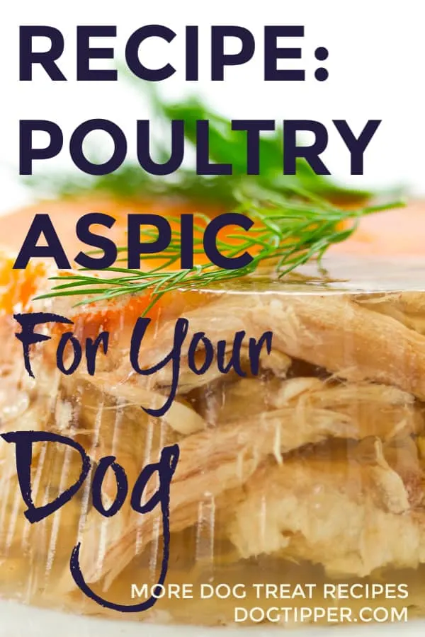 poultry aspic for dogs
