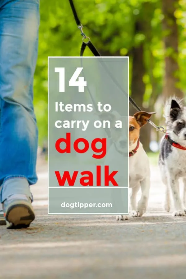 dog walking essentials