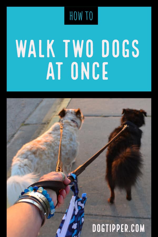 How to Walk Two Dogs at Once -- One Leash or Two?