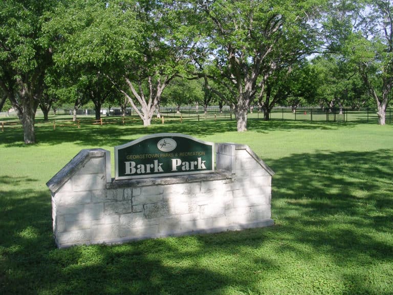 Helping Your Dog Park Save Money
