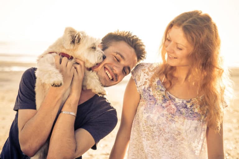 Dog Friendly Beaches: Rules and Etiquette You Should Know