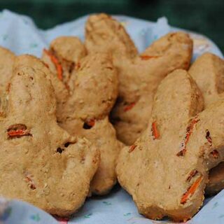 Carrot Cake Dog Treats