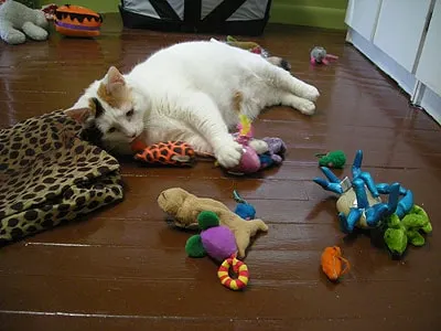 toys3