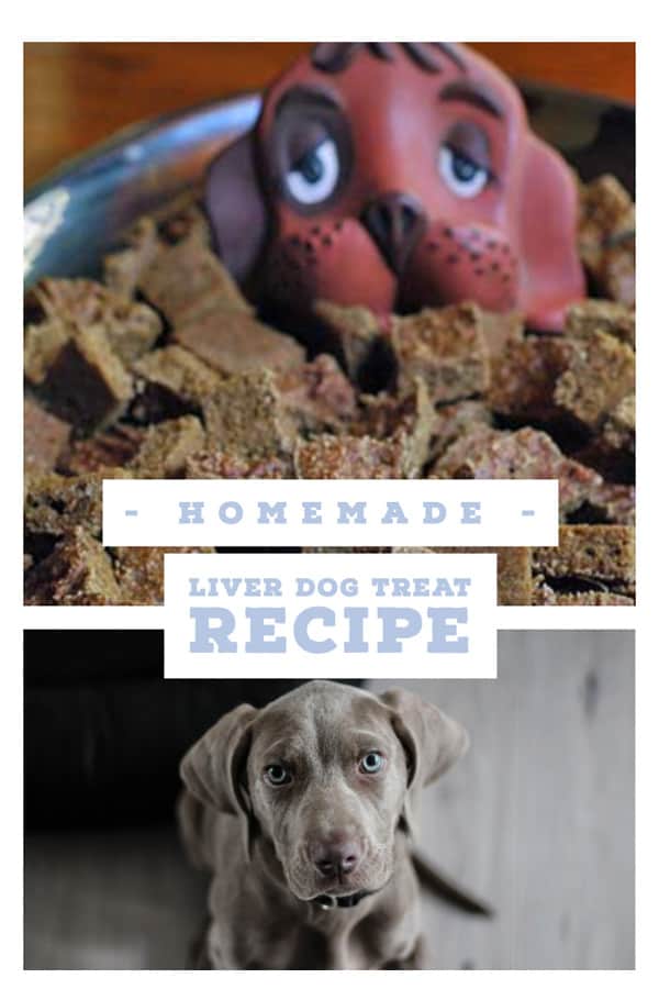homemade liver dog treats