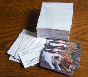The back of the DogTipper biz card is a photo of our dogs!