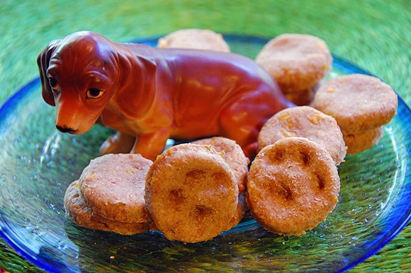 chicken and cheese dog treats surrounding figurine of dachshund