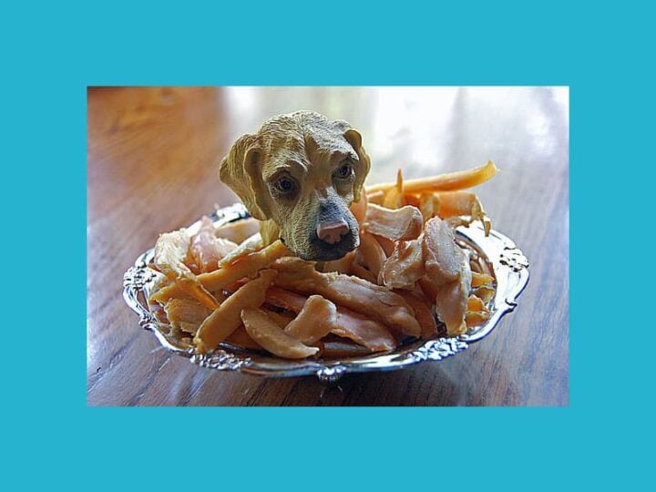 dried chicken strips for dogs