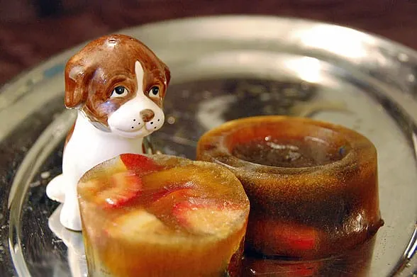 frozen fruit ice pop for dogs