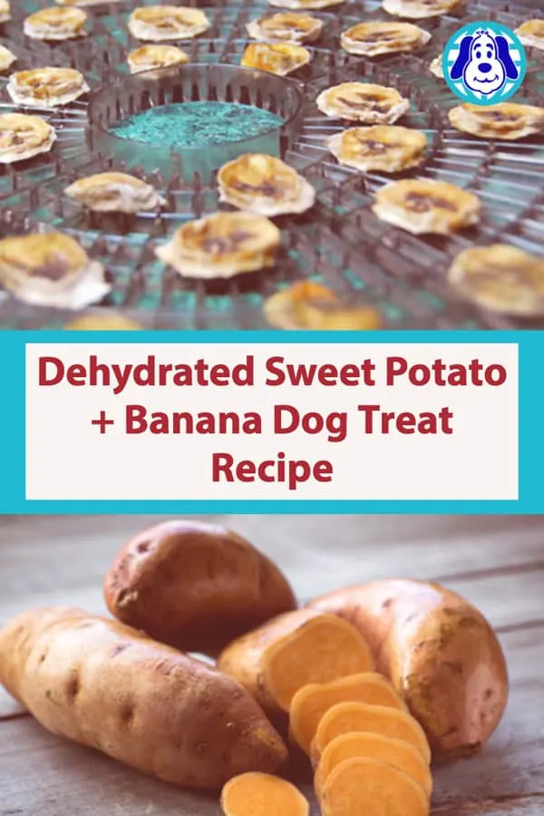 How to make dehydrated sweet potato dog treats and dehydrated banana dog treats