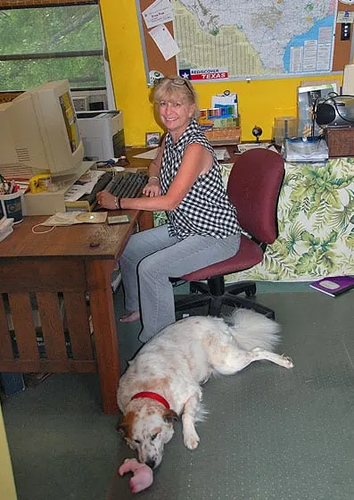 dogwork3