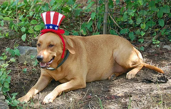 irie-hat-4th