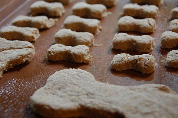 baking oatmeal dog treats