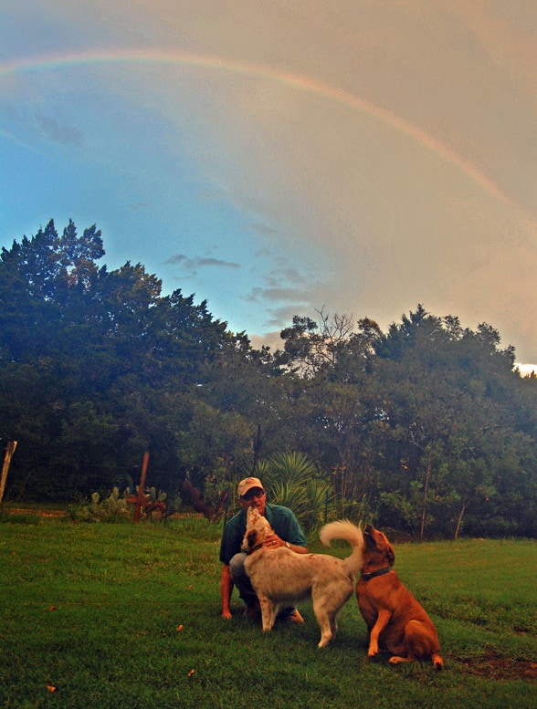 john-dogs-rainbow