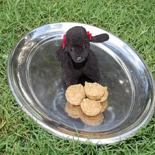 Chicken and Kibble Cupcakes