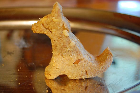 peanut butter and applesauce dog treats