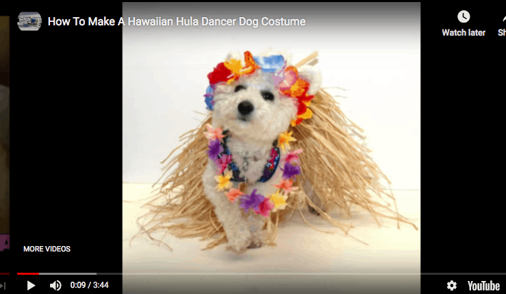 How to Make a Doggie Hula Costume